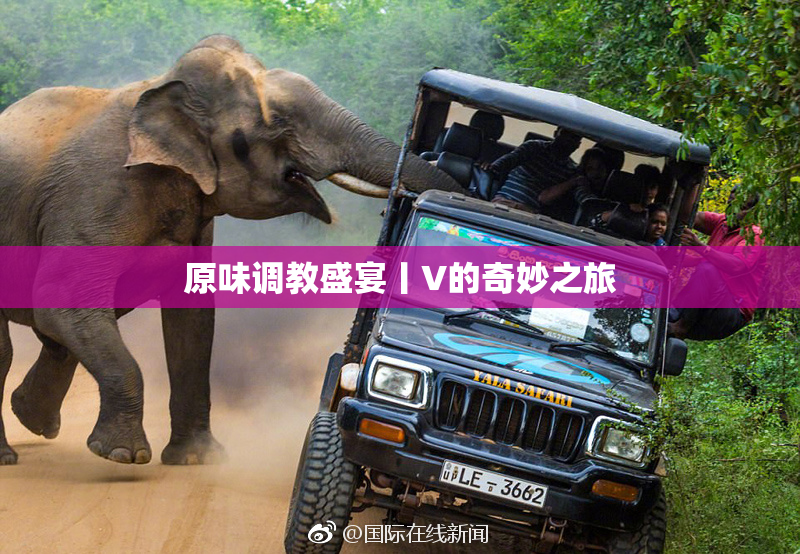 原味调教盛宴丨V的奇妙之旅