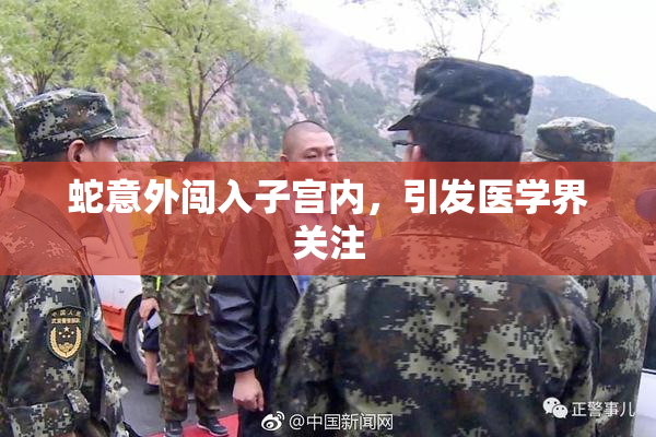 蛇意外闯入子宫内，引发医学界关注