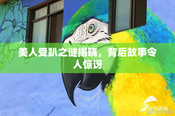 美人受趴之谜揭晓，背后故事令人惊讶