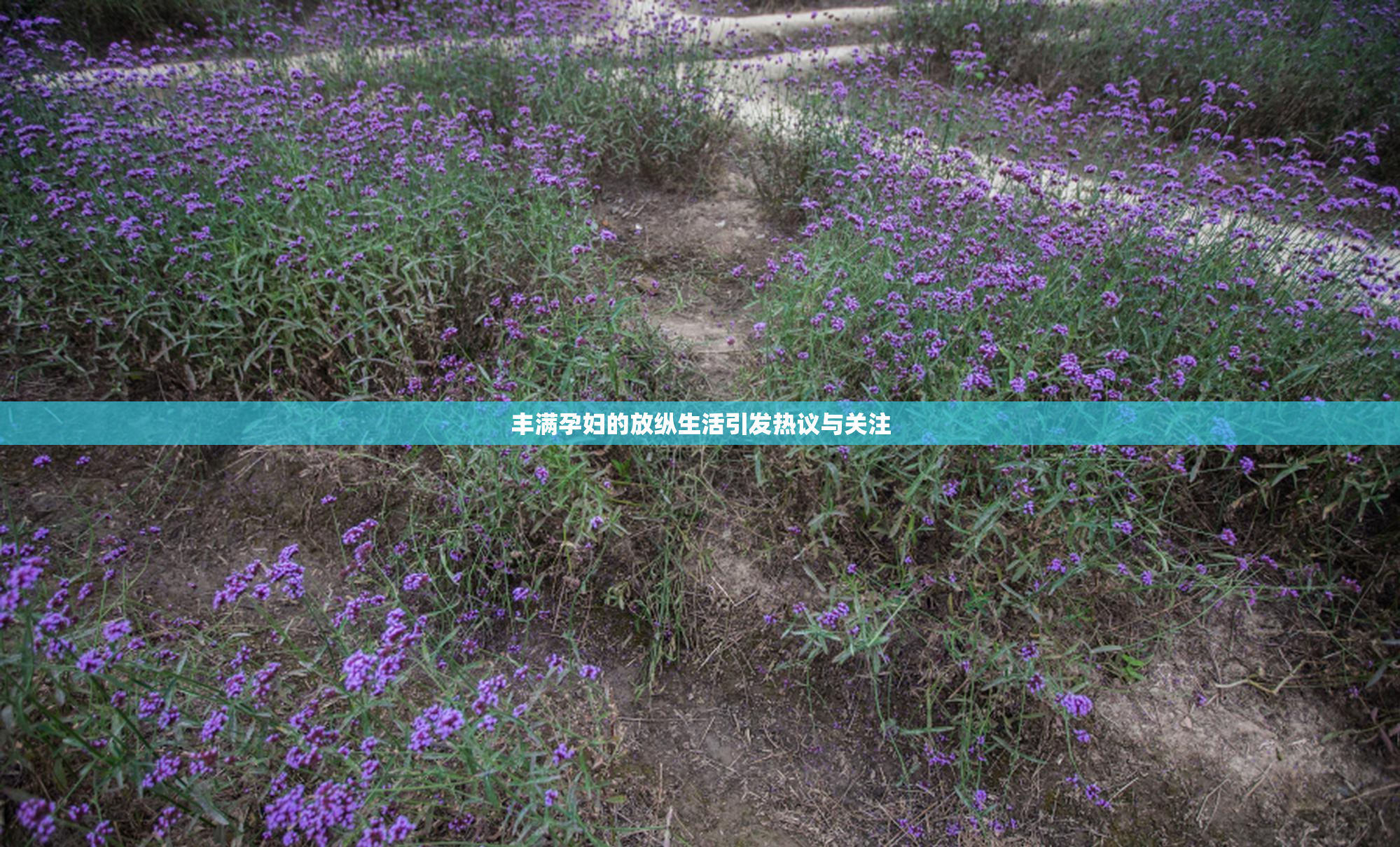 丰满孕妇的放纵生活引发热议与关注