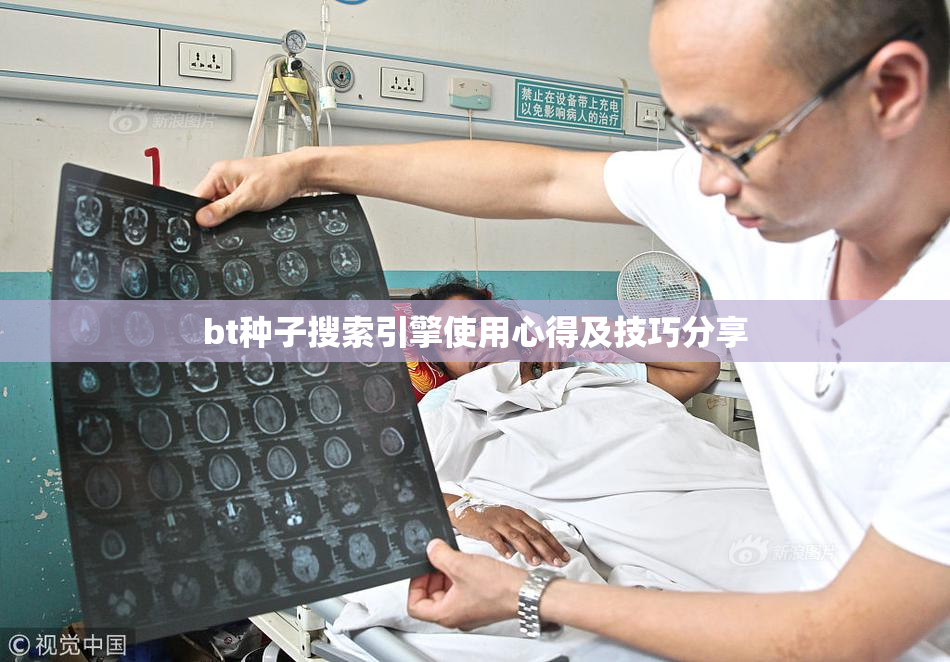 bt种子搜索引擎使用心得及技巧分享