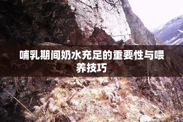 哺乳期间奶水充足的重要性与喂养技巧