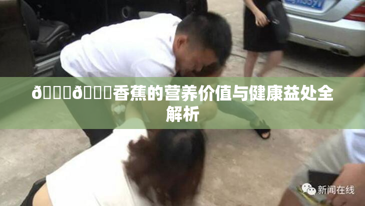 🔞🔞香蕉的营养价值与健康益处全解析
