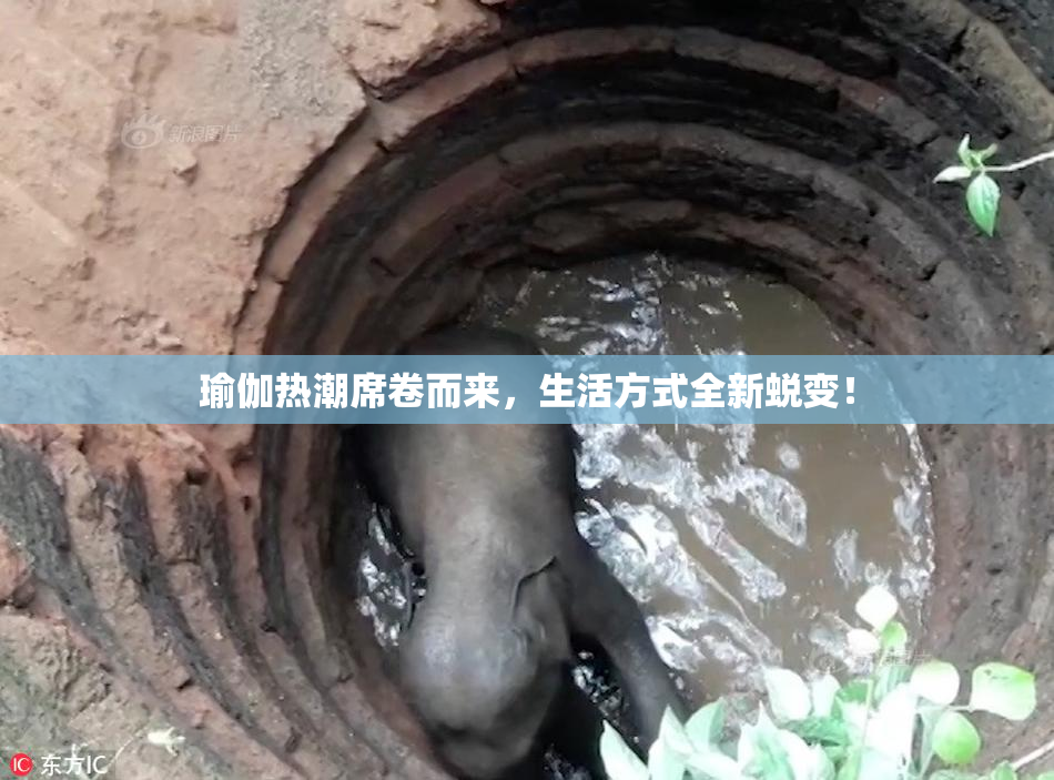 瑜伽热潮席卷而来，生活方式全新蜕变！
