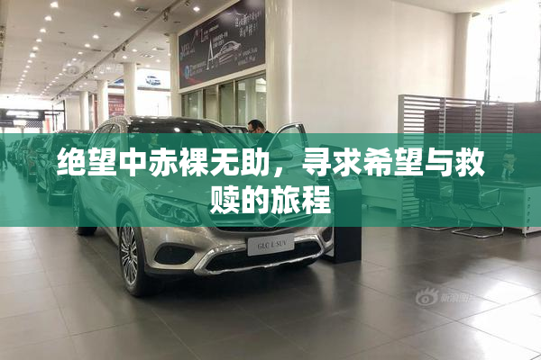 绝望中赤裸无助，寻求希望与救赎的旅程