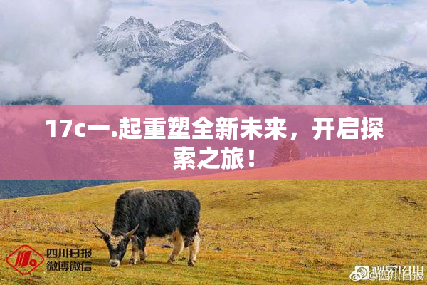17c一.起重塑全新未来，开启探索之旅！