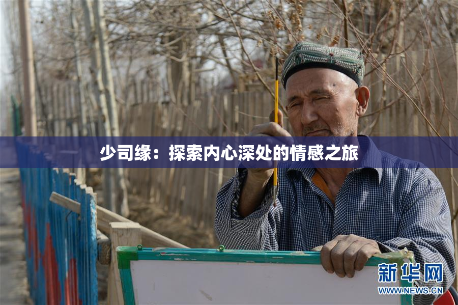 少司缘：探索内心深处的情感之旅