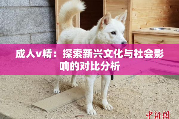 成人v精：探索新兴文化与社会影响的对比分析