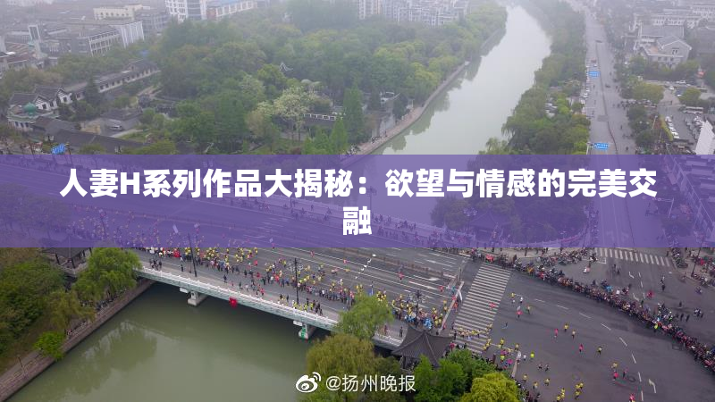 人妻H系列作品大揭秘：欲望与情感的完美交融