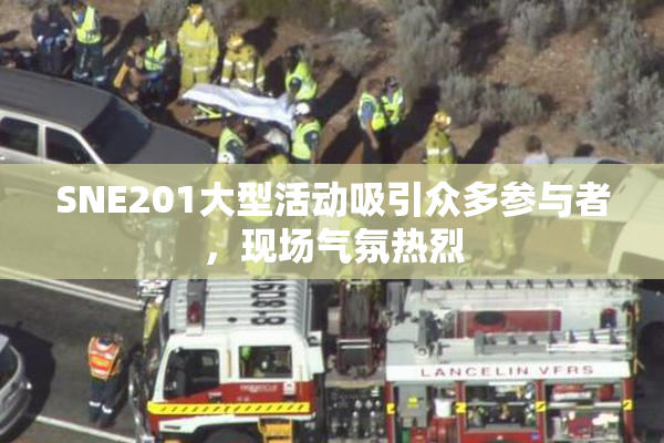 SNE201大型活动吸引众多参与者，现场气氛热烈