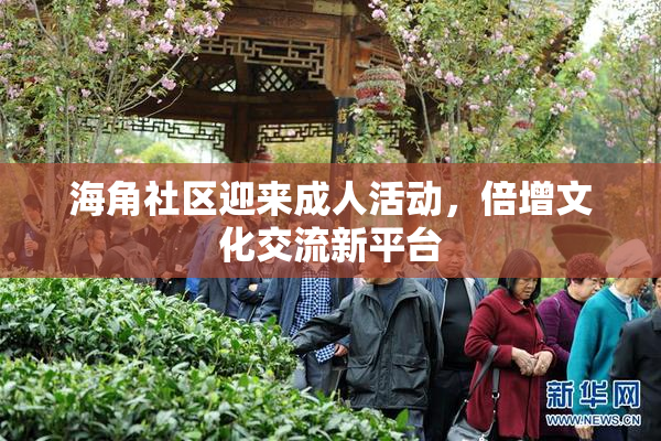 海角社区迎来成人活动，倍增文化交流新平台