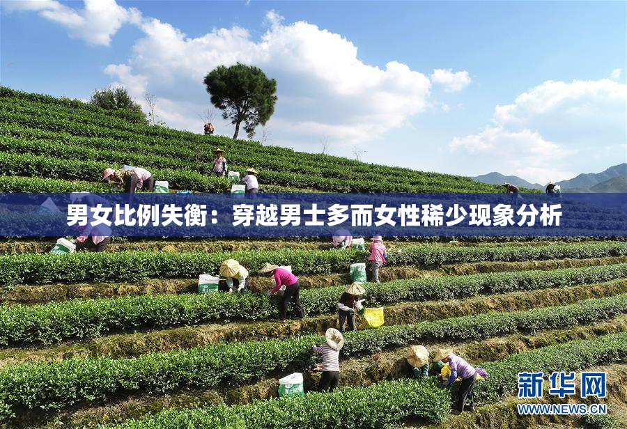 男女比例失衡：穿越男士多而女性稀少现象分析