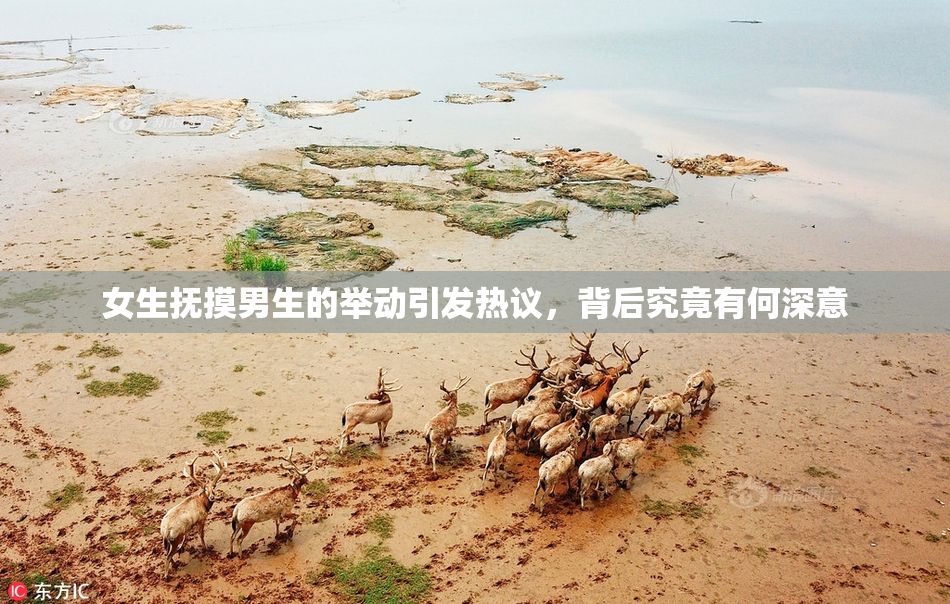 女生抚摸男生的举动引发热议，背后究竟有何深意