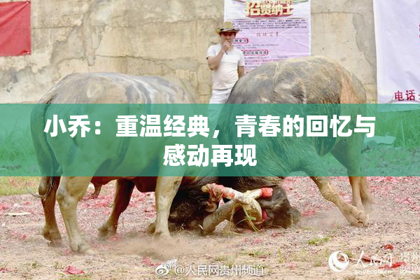 小乔：重温经典，青春的回忆与感动再现