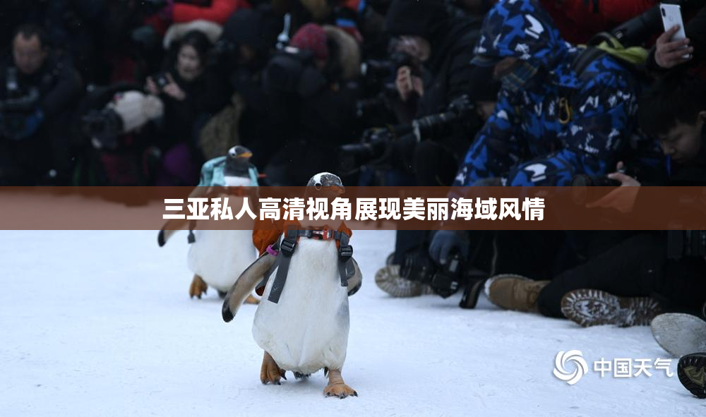 三亚私人高清视角展现美丽海域风情