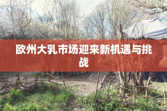 欧州大乳市场迎来新机遇与挑战