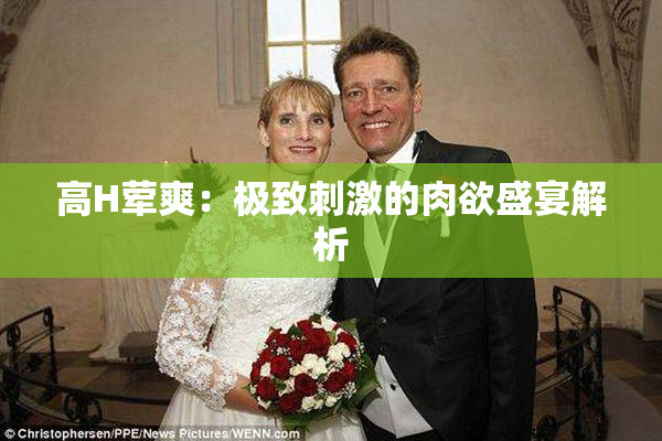 高H荤爽：极致刺激的肉欲盛宴解析