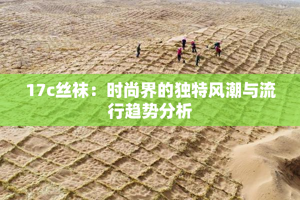 17c丝袜：时尚界的独特风潮与流行趋势分析