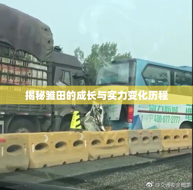 揭秘雏田的成长与实力变化历程