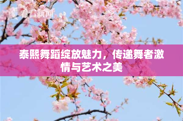 泰熙舞蹈绽放魅力，传递舞者激情与艺术之美