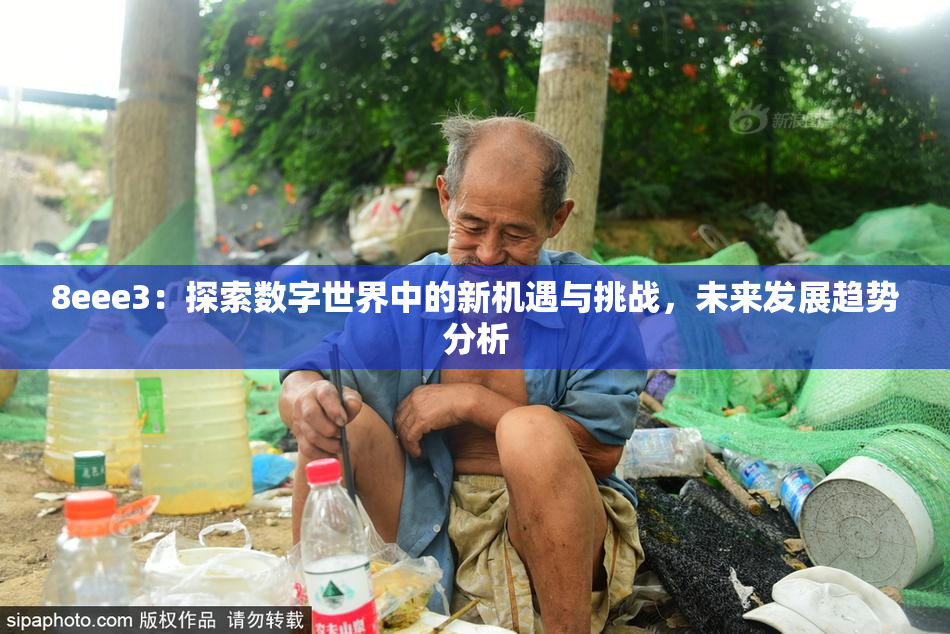 8eee3：探索数字世界中的新机遇与挑战，未来发展趋势分析