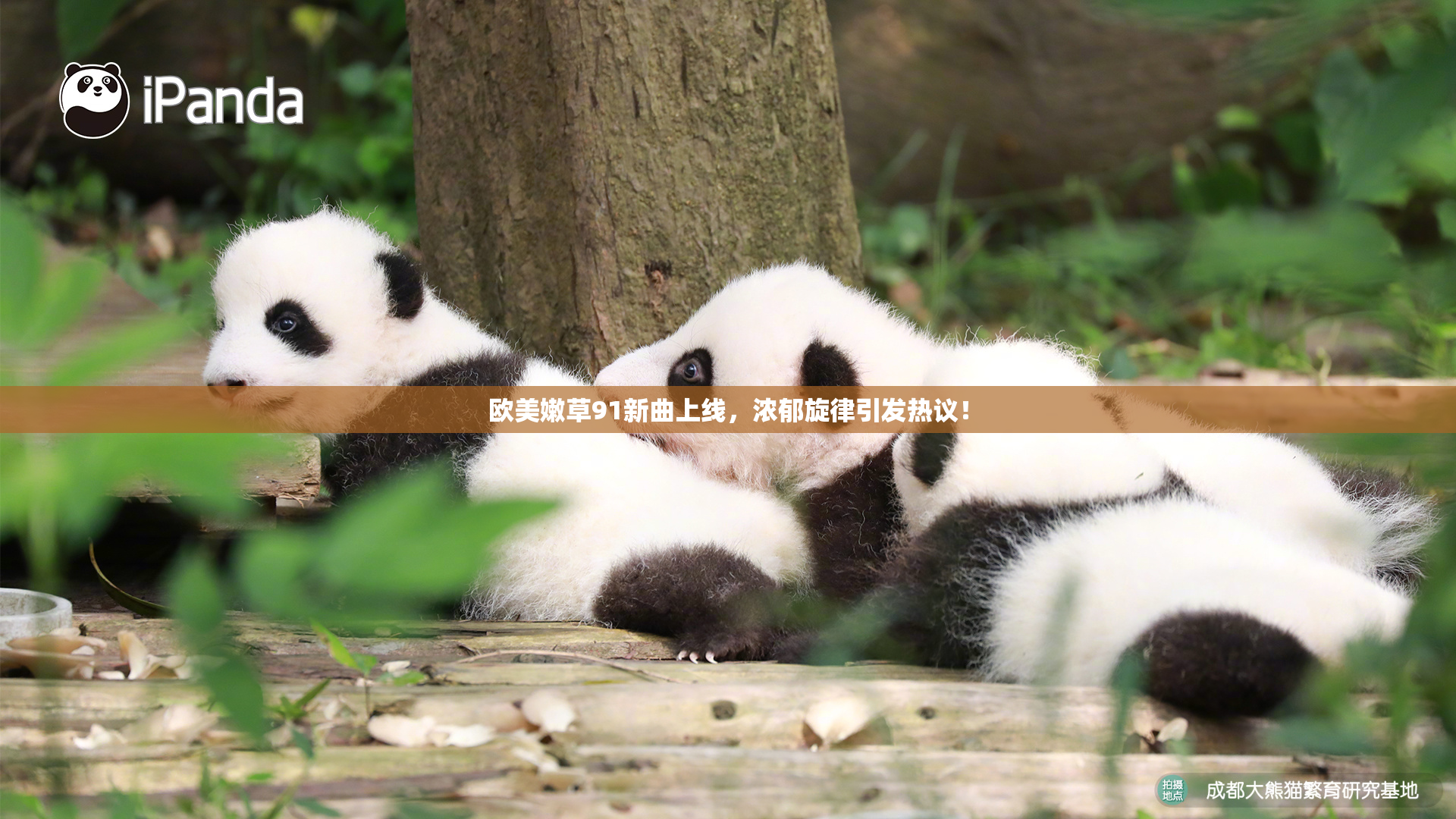 欧美嫩草91新曲上线，浓郁旋律引发热议！