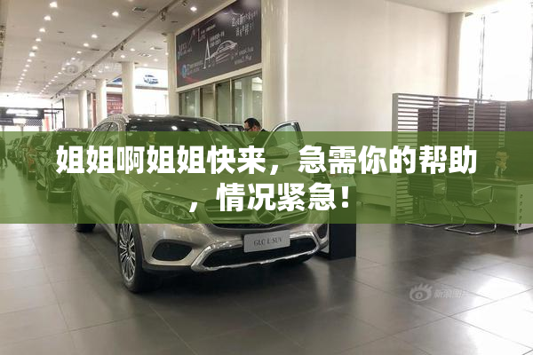 姐姐啊姐姐快来，急需你的帮助，情况紧急！