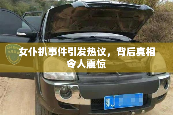 女仆扒事件引发热议，背后真相令人震惊