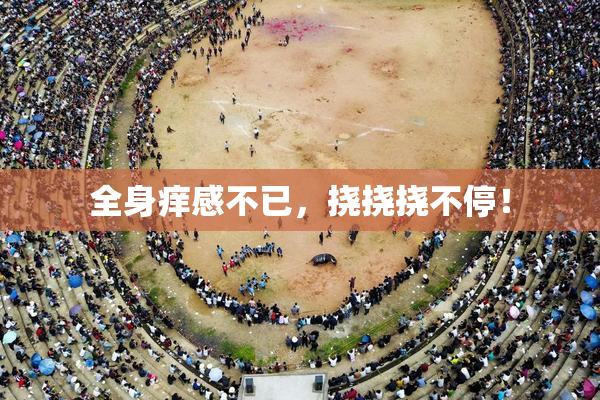 全身痒感不已，挠挠挠不停！