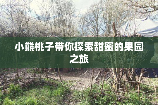 小熊桃子带你探索甜蜜的果园之旅