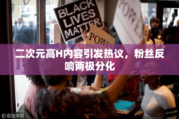 二次元高H内容引发热议，粉丝反响两极分化