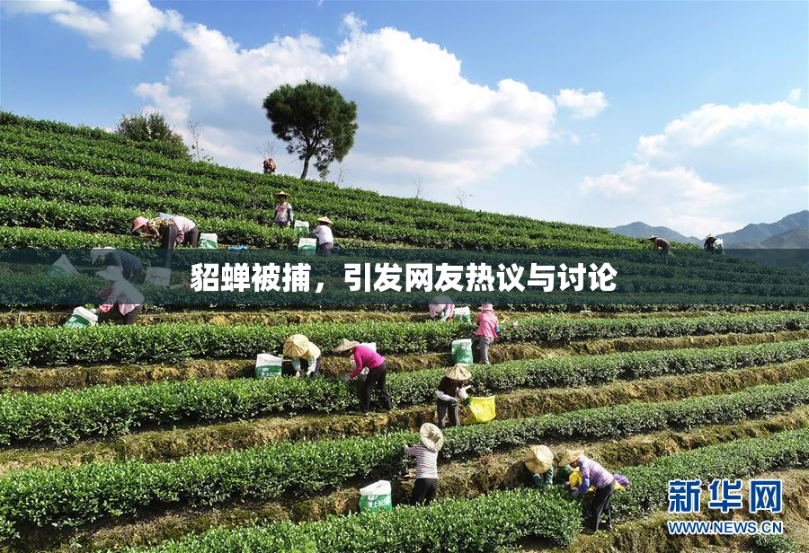 貂蝉被捕，引发网友热议与讨论