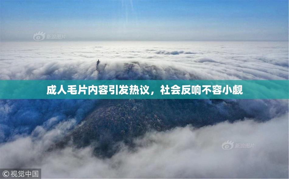 成人毛片内容引发热议，社会反响不容小觑
