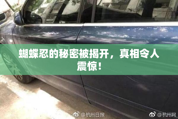 蝴蝶忍的秘密被揭开，真相令人震惊！