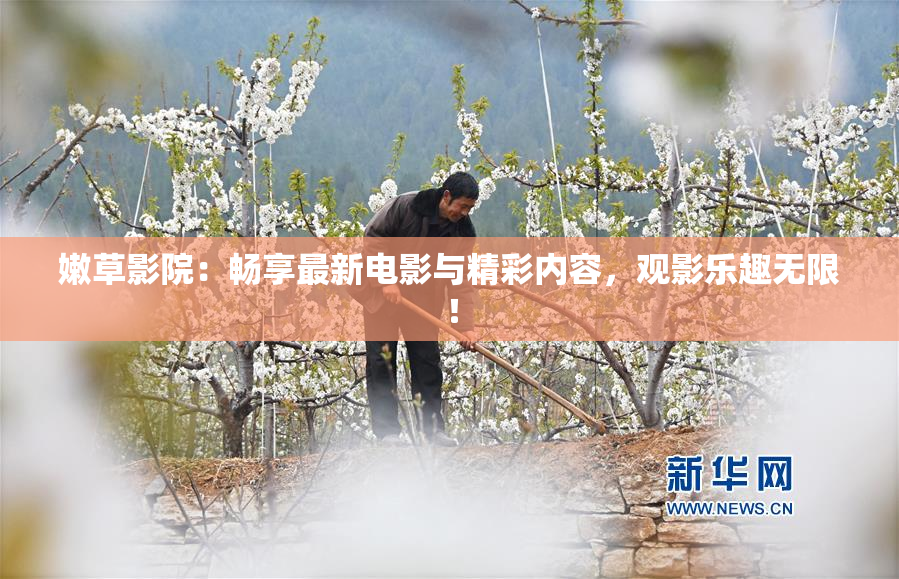 嫩草影院：畅享最新电影与精彩内容，观影乐趣无限！