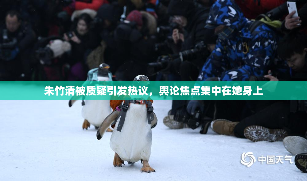朱竹清被质疑引发热议，舆论焦点集中在她身上