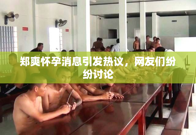 郑爽怀孕消息引发热议，网友们纷纷讨论