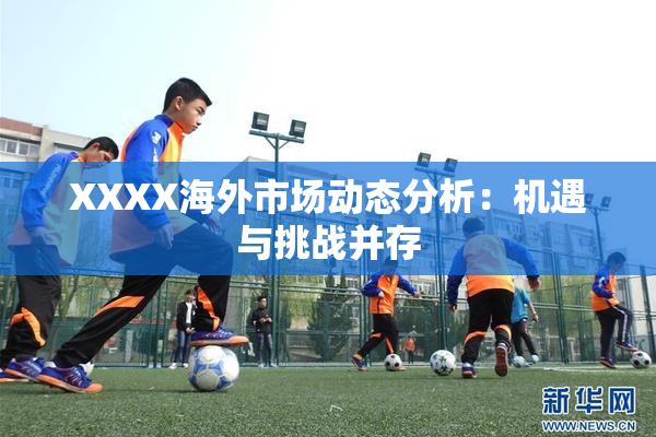XXXX海外市场动态分析：机遇与挑战并存