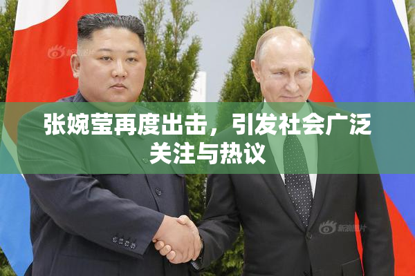 张婉莹再度出击，引发社会广泛关注与热议