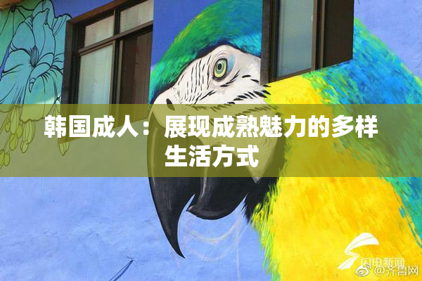 韩国成人：展现成熟魅力的多样生活方式
