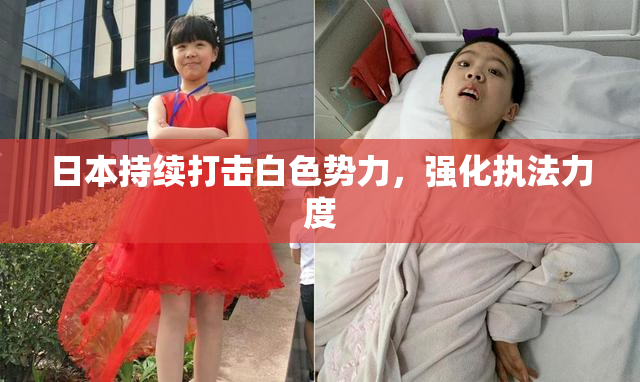 日本持续打击白色势力，强化执法力度