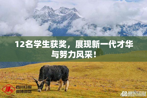 12名学生获奖，展现新一代才华与努力风采！