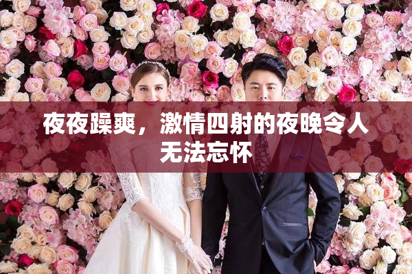 夜夜躁爽，激情四射的夜晚令人无法忘怀