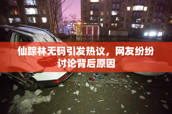 仙踪林无码引发热议，网友纷纷讨论背后原因