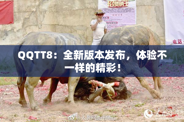 QQTT8：全新版本发布，体验不一样的精彩！