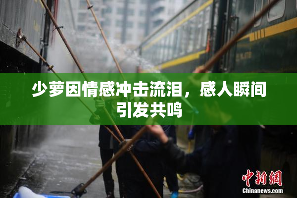少萝因情感冲击流泪，感人瞬间引发共鸣