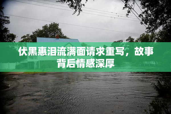 伏黑惠泪流满面请求重写，故事背后情感深厚