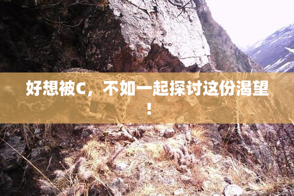 好想被C，不如一起探讨这份渴望！