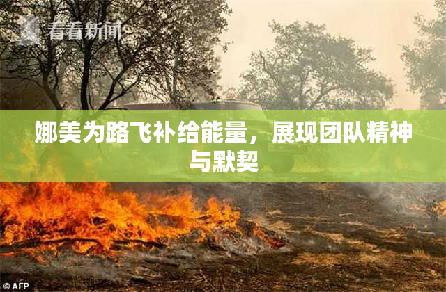 娜美为路飞补给能量，展现团队精神与默契