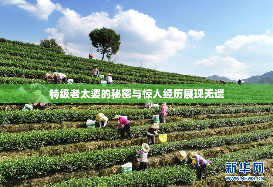 特级老太婆的秘密与惊人经历展现无遗